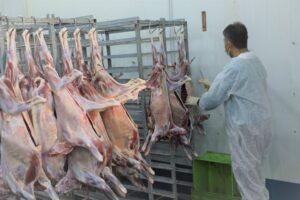 جنگ فعالیت دامپزشکی اصفهان را تعطیل نکرد؛کشف ۵۴تن محصول غیربهداشتی