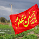 داداشی: رگبار پراکنده و رعدوبرق از دوشنبه خراسان شمالی را فرا می‌گیرد