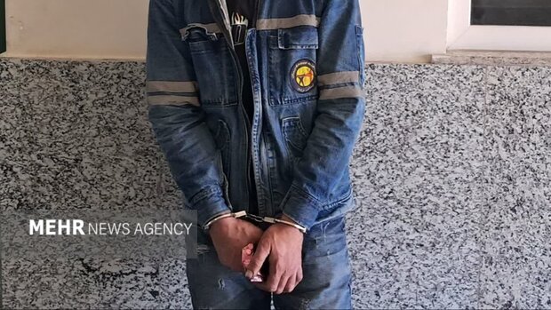 دستگیری سارق حرفه‌ای و مالخر با ۶۵ فقره سرقت در بویراحمد