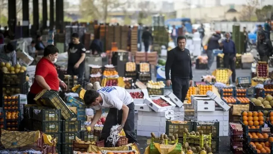 طرح تشدید نظارت بر کالاهای کشاورزی کلید خورد/ ۳۱ هزار پرونده تخلف در ۱۴۰۴