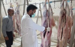 فتاحی: ۳۶ گروه نظارتی روز عید قربان ناظر ذبح دام در مرکزی هستند