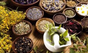 پاکسازی بدن در بهار طبق طب سینایی؛ ۵ معجزه ساده که آلرژی را ریشه‌کن می‌کند