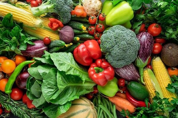 کشتِ آینده؛ گلخانه‌ها چگونه مسیر کشاورزی را تغییر می‌دهند؟