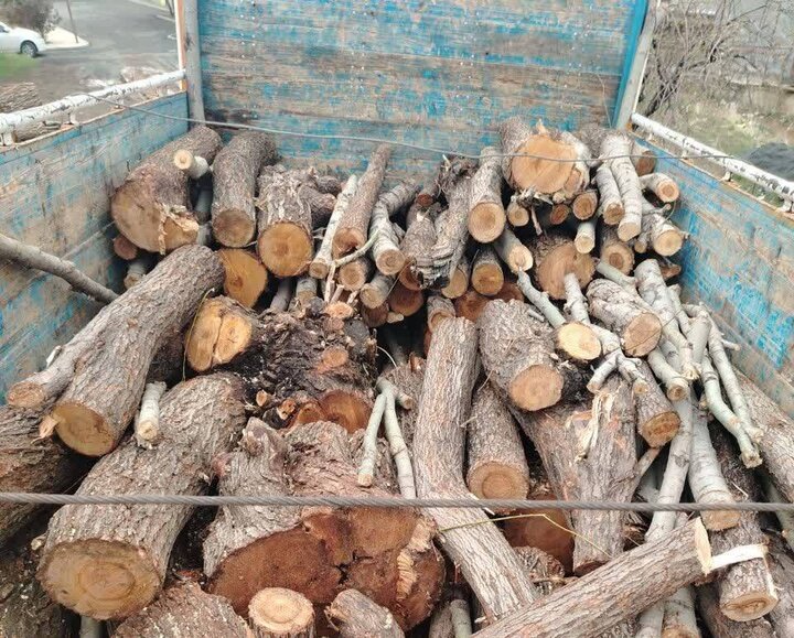 کشف ۲۳۰۰ تُن چوب تاغ در شرق اصفهان؛ ۲ قاچاقچی دستگیر شدند