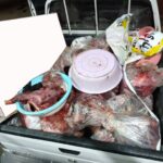 کشف ۳۷۸ کیلوگرم گوشت گراز در قصابی ساری