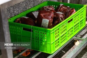 کشف ۶ تُن انواع گوشت احتکار شده در زرقان فارس