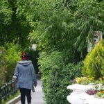 کیفیت هوای تهران امروز یکشنبه ۲۰ اردیبهشت ۱۴۰۵ در وضعیت قابل‌قبول قرار دارد