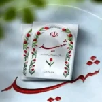۱۴ نیر‌وی سپاه امروز در زنجان شهید شدند+ جزئیات