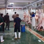 ۶۳ رأس دام سبک و سنگین در شاهرود برای کمک به نیازمندان ذبح شد