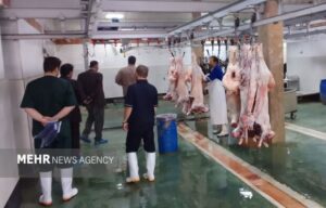 ۶۳ رأس دام سبک و سنگین در شاهرود برای کمک به نیازمندان ذبح شد