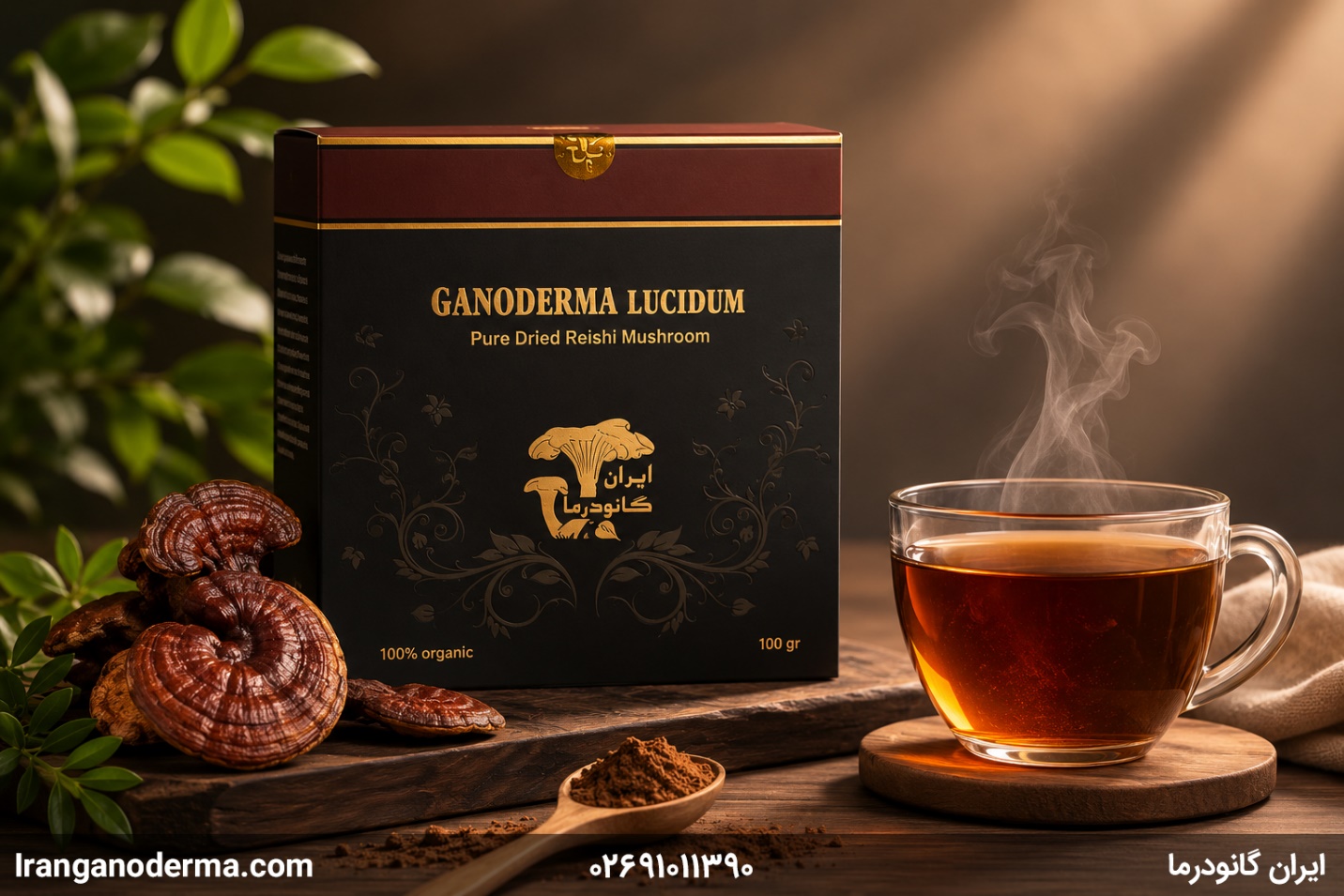 قارچ گانودرما