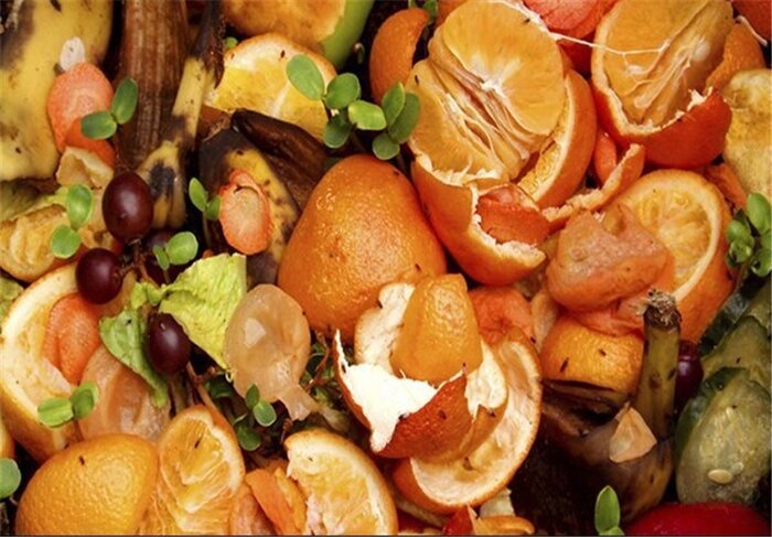 آشپزی بدون دورریز؛ راهکاری ساده برای کاهش هزینههای خانوار آشپزی بدون دورریز؛ راهکاری ساده برای کاهش هزینههای خانوار