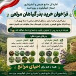 احیای مراتع کهگیلویه و بویراحمد با مشارکت مردم در جمع‌آوری بذر گیاهان