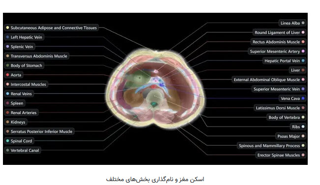 اخبار،اخبار جدید،اخبار روز اخبار،اخبار جدید،اخبار روز