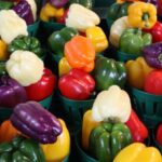 اصفهان با ۱۰ هزار کدQR محصولات گلخانه‌ای را برای صادرات شناسه‌دار کرد
