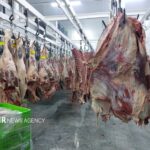 ایران و رومانی در مسیر توسعه صادرات فرآورده‌های خام دامی
