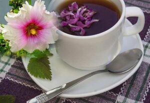 با این۳ گیاه سرفه‌های مداوم را درمان کنید