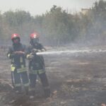 جزئیات سوختن ۱۰۰ اصله درخت در آتش‌سوزی مهیب مشهد