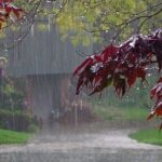 سیل و طوفان در راه است / ۷ استان به حالت آماده‌باش درآمدند