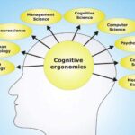 شناخت (Cognition) چیست ؟