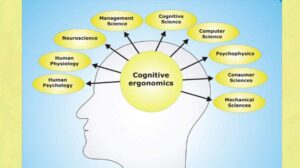 شناخت (Cognition) چیست ؟