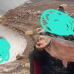 صیاد متخلف فضای مجازی در سروآباد شناسایی و به مراجع قضایی معرفی شد