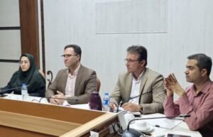 فرماندار تنگستان: عبور از پیک مصرف انرژی نیازمند همکاری همگانی کنند