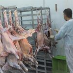 فعالیت ۲۵ اکیپ نظارت بهداشتی دامپزشکی اردبیل در ایام حسینی
