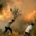 لرستان و معادله پیچیده تابستان؛ حریق‌هایی که همه منشأ انسانی دارند