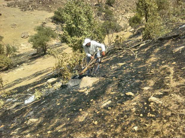 لرستان و معادله پیچیده تابستان؛ حریقهایی که همه منشأ انسانی دارند لرستان و معادله پیچیده تابستان؛ حریقهایی که همه منشأ انسانی دارند