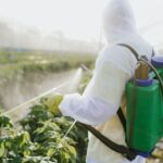 مانور سراسری پایش آفت‌کش‌ها و نظارت قرنطینه‌ای در لرستان