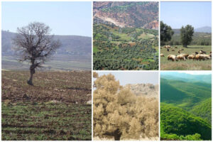 پیام استاندار فارس به مناسبت هفته محیط زیست