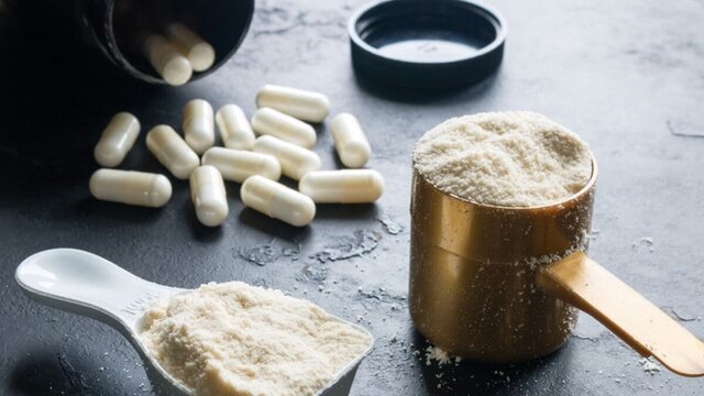 اخبار،اخبار جدید،اخبار روز