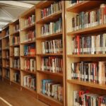 گودرزی زاده: ترویج آثار دینی فاخر در اولویت کتابخانه‌های عمومی است
