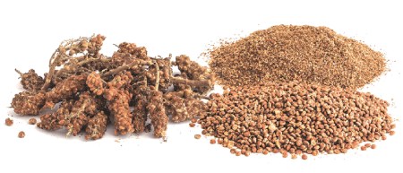 خواص سماق قهوه ای ادویه ای بی نظیر