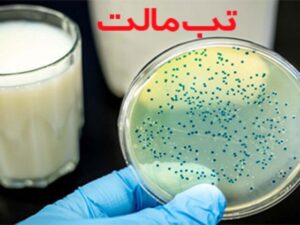 رشد ۵۰ درصد ابتلا به تب مالت در سمنان؛ مهدیشهر با رشد ۲۱۰ درصدی در صدر