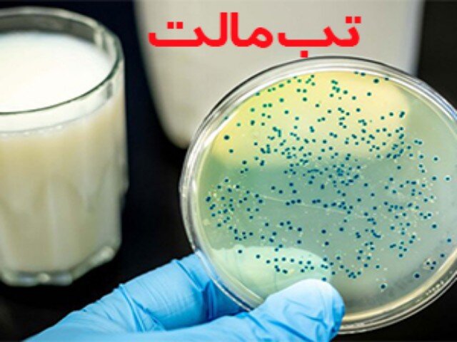 رشد ۵۰ درصد ابتلا به تب مالت در سمنان؛ مهدیشهر با رشد ۲۱۰ درصدی در صدر