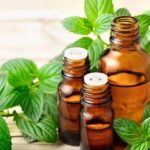 روغن این گیاه فشارخون بالا را ۲۰ روزه بهبود می‌بخشد
