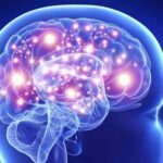 به چه علت مغز اشتباهات را توجیه می‌کند؟