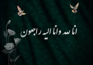 پیام تسلیت رئیس‌کل سازمان نظام پرستاری در پی درگذشت رئیس اسبق هیئت‌مدیره نظام پرستاری دشتستان