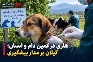 پویش ملی پیشگیری از هاری؛ از واکسیناسیون رایگان تا مراقبت در گیلان
