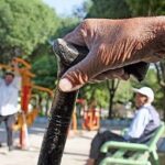 سالمندان سرمایه اجتماعی و یادگار تجربه‌های تاریخی هستند